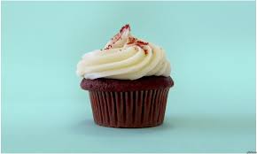 images?q=tbn:ANd9GcRXWL2glWbbbypNIfIT4gJU4YcMB4uC9JJ1_-GSum0-kyXnhQuOBw