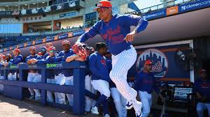 mets Picture