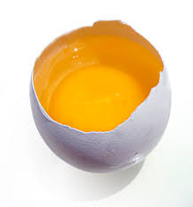 Image result for egg yolk