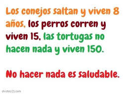 Resultado de imagen para chistes buenisimos