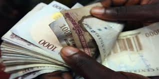 Image result for images for naira