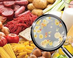 Food Microbiology