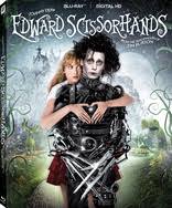 Image result for edward scissorhands