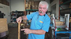 Essex-area honey producers fear impact of new U.S. tariffs — even if they don't export their product