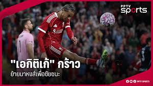 pptvhd36.com - News update
