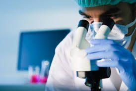 Resultado de imagen de investigacion cientifica