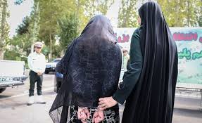 بلاگر وکیل نما