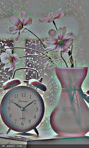 ���� ���� ������ �� ���� ������