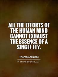 All the efforts of the human mind cannot exhaust the essence of... via Relatably.com