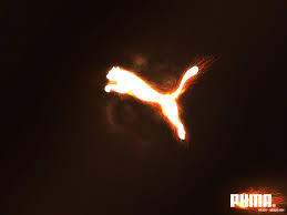 Resultado de imagen de marca puma