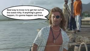 3 Lessons From Captain Ron on Google AdWords via Relatably.com