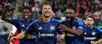 DFB-Pokal: Edin Dzeko bewahrt Schalke 04 vor Blamage bei Hallescher FC — sportschau.de