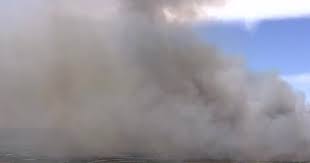 Community and Environmental Restoration: Prescribed Burns in Florida and Library Revitalization in Cape Town