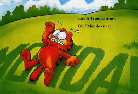 Résultat de recherche d'images pour "gifs c'est lundi on se motive"