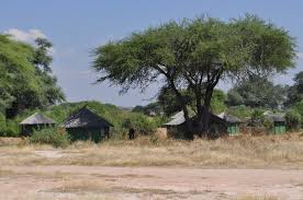 Image result for ruaha park
