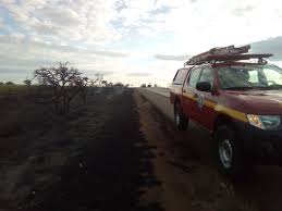 Incêndio florestal de grandes proporções é registrado no entroncamento da BR-365 e BR-153