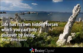 Barry Commoner Quotes - BrainyQuote via Relatably.com