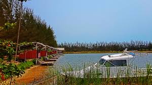 Image result for Bangka Botanical Garden Pangkal Pinang