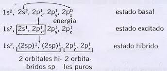 Resultado de imagen para estado basal del carbono