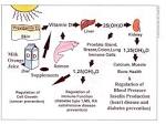 Is vitamin D the same as vitamin D3? - m