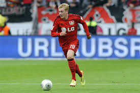 Hasil gambar untuk julian brandt