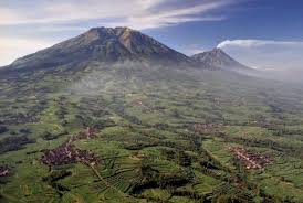 Hasil gambar untuk berita pendaki gunung