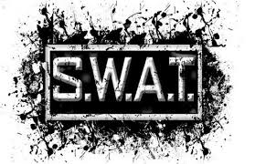 Image result for swat team