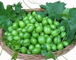 Image result for ‫گوجه سبز‬‎