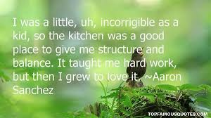Aaron Sanchez quotes: top famous quotes and sayings from Aaron Sanchez via Relatably.com