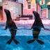 Father's Day 2017: Celebrate Dad at these popular Atlanta attractions