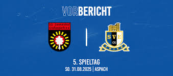 SV Eintracht Trier - News update