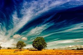 Intensificación de un fuerte episodio de El Niño
