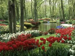 Resultado de imagem para belos jardins floridos