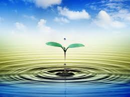 Kết quả hình ảnh cho vầng trăng ai xẻ làm đôi images