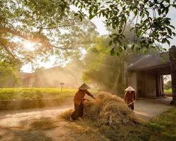 Hình ảnh về Duong Lam ancient village