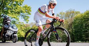 Lipowitz : ce qu'il faut savoir — image 5