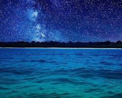 Image of Stargazing on the beach, Andaman