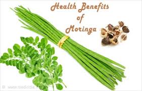 Image result for moringa tree benefits for health