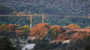 Europa se vuelca con España: los líderes muestran su apoyo tras la tragedia ferroviaria de Córdoba