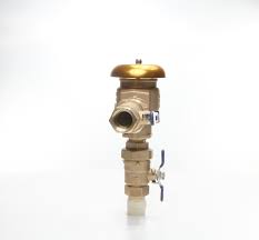 FEBCO 1-in Bronze FNPT Pressure Vacuum Breaker U765-QT-FZ ...