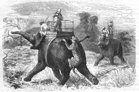 Image result for HUNTING AS A PASTIME BRITISH INDIA