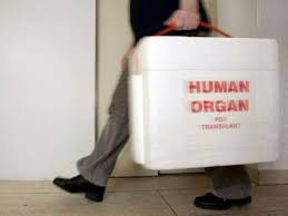 Risultati immagini per No alla predazione degli organi