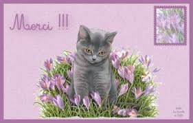 Résultat de recherche d'images pour "images gif merci avec chats"