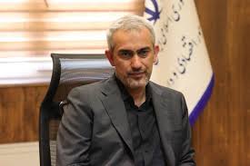 مدنی‌زاده: کالابرگ یارانه نیست، حق شهروندی است