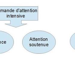 Image of Attention soutenue, type d'attention