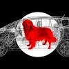 Story image for Best Pet Supplies Vehicle Pet Barriers For Sale from Jalopnik