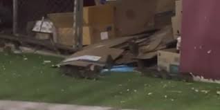 ¡No, no son capitaras! Plaga de roedores de gran tamaño deambula por el hospital del Issste de Culiacán