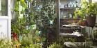 Novedades Ikea en jardiner a 2014: plantas, maceteros