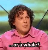 Alan Davies QI comedian british comedy blue whale - tumblr_mdwjh23Zwh1ql6c6go4_250