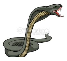 images?q=tbn:ANd9GcR_HsZ4RvzvNQzgY2HUWJqq8qV5PXCqMWussfcI-A4hvYTVtVcM